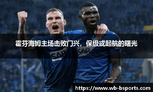 霍芬海姆主场击败门兴，保级或起航的曙光