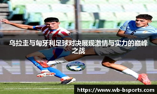 B体育官方