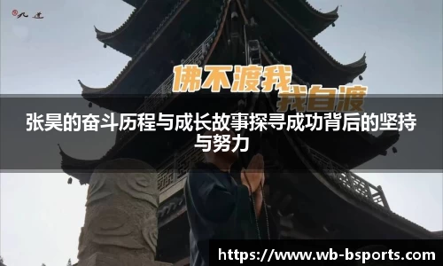 B体育