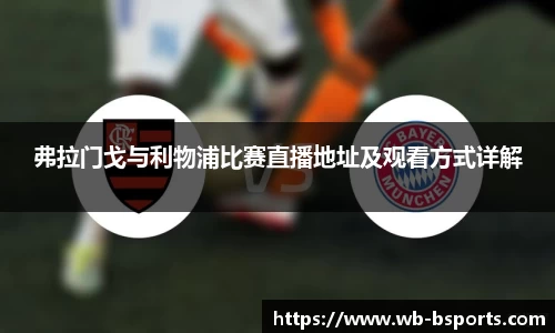 弗拉门戈与利物浦比赛直播地址及观看方式详解